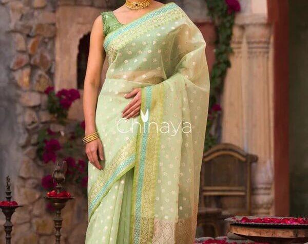 The Most Popular Choice in Ethnic Clothing Right Now Organza Sarees