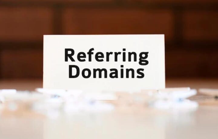 What Is Referring Domain In SEO