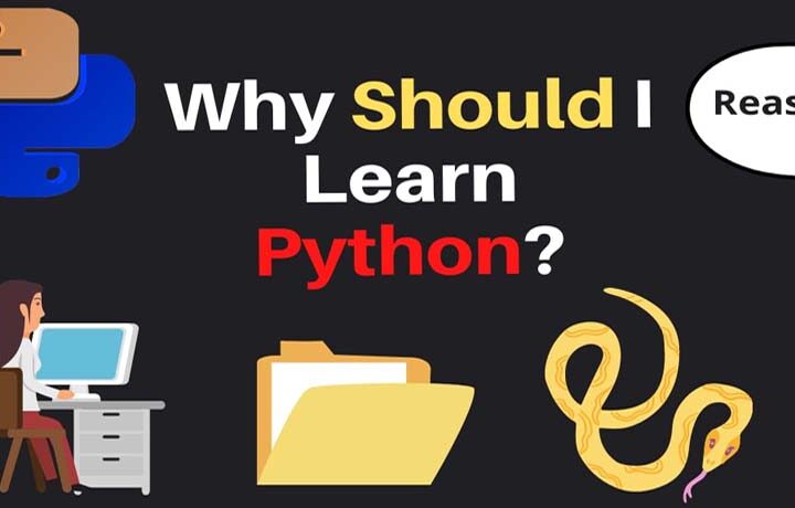 Why Should You Learn Python?