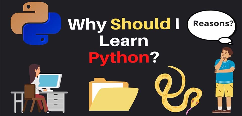 Why Should You Learn Python?